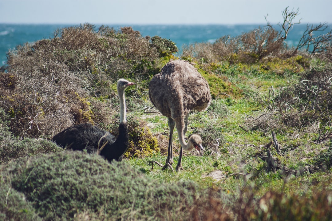 Photo Nature reserve