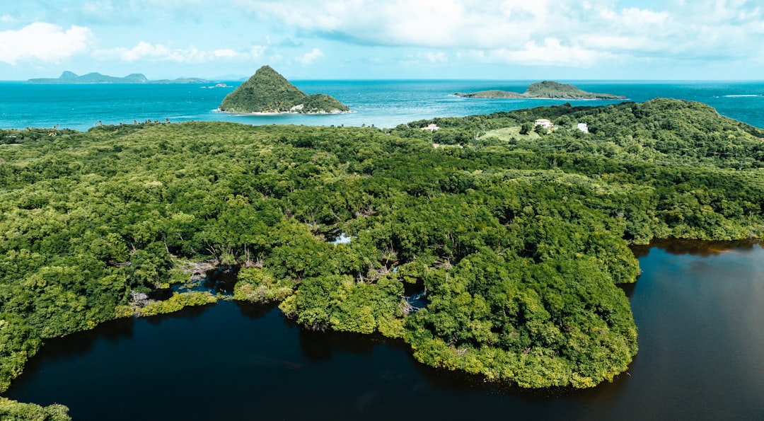 Photo climate change adaptation