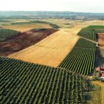 Photo Polish agriculture transformation