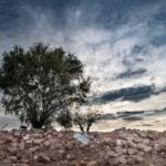 Photo resilient cities