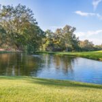 Photo Green transformation of regions