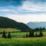 Photo Srebrna gospodarka