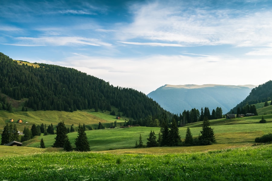 Photo Srebrna gospodarka