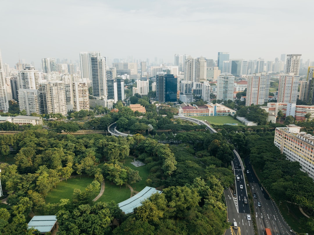 Photo ecological initiatives cities